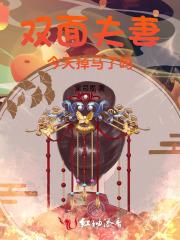 双面第14集