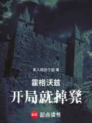 霍格沃兹之