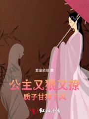 公主和质子的