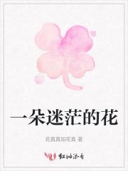 迷茫的一生