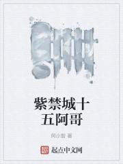 紫禁城十五阿哥 何小智