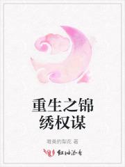 重生之锦绣美人谋