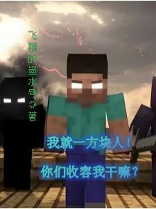 我就一方块人!你们收容我干嘛?  03