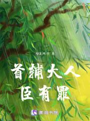 首辅大人是谁