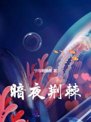 暗夜刺杀