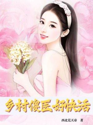 乡村傻婿