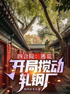 四合院开局抓棒梗游街