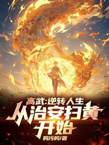 高武逆转人生从治安扫黄开始