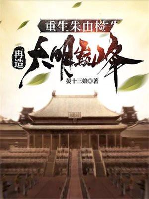 再造大明巅峰电子书