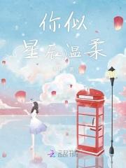 星辰似你皆柔情