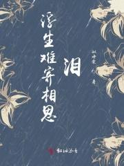 浮生难解相思意免费阅读