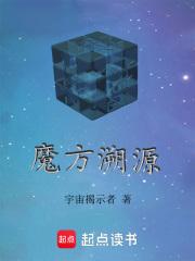 魔方溯源法