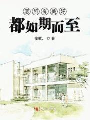 愿所有美好都如期而至歌词