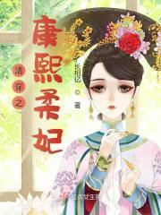 清穿之康熙柔妃晋江
