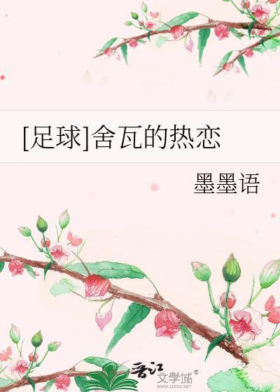 足球舍瓦的热恋书包网
