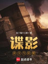 谍影命令与征服笔趣阁在线