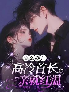 高冷首席