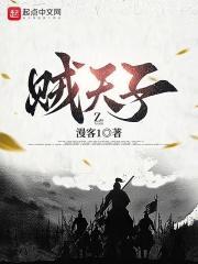 贼天子人物介绍