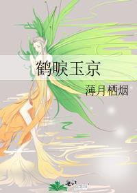 鹤唳玉京资源