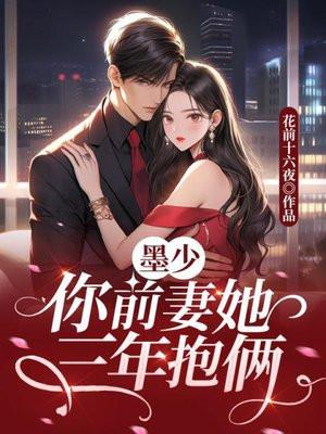墨少追妻