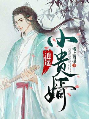 逍遥小贵婿 李辰安