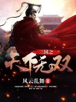 三国之天下无双完整版