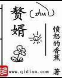 赘婿动漫 赘婿动漫