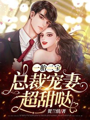 一胎两宝总裁宠妻