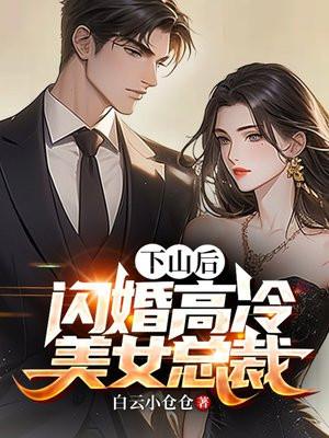 闪婚高冷美女总裁白云小仓仓