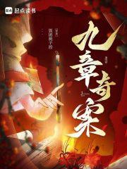 九章奇案晋江