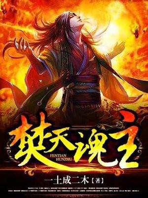 焚天魂主等级划分