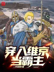 穿入维京当霸主TXT全本资源