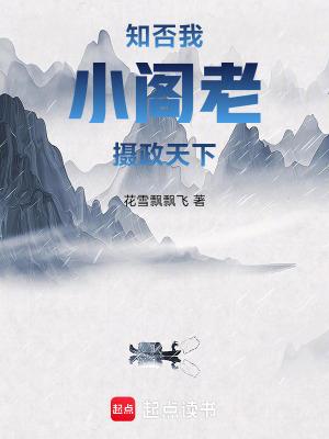 摄政天下无防盗