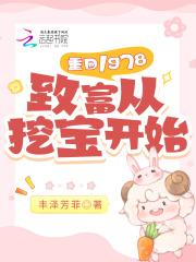 重回1978致富从挖宝开始[A顾久B林舒