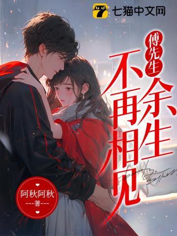 傅先生余生不再相见全文阅读