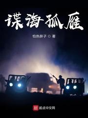 谍海孤雁免费完整版