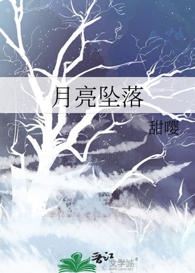 月亮坠落陆时邈免费阅读全文