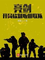 亮剑开局砍翻坂田联队的