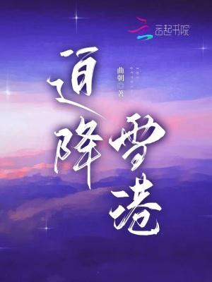 迫降海上