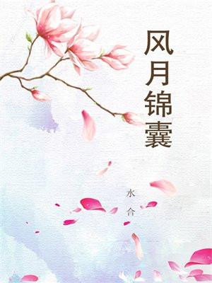 风月锦囊 水合
