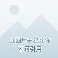 诸神黄昏我的天赋无上限林天浩周小胖听书