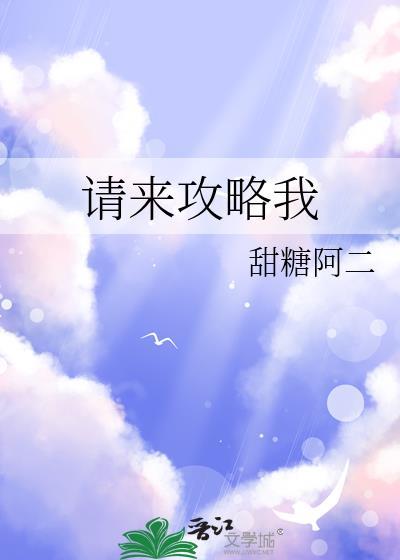 请来攻略我txt