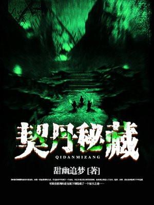 契丹秘藏 聚合中文网