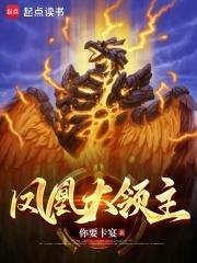 凤凰大领主TXT八零