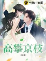 攀高枝阅读 攀高枝阅读