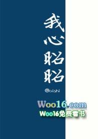 我心昭昭免费阅读