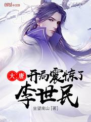 大唐开局震惊李世民 1