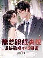 陆总什么意思