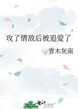 攻了情敌后被追爱了晋江