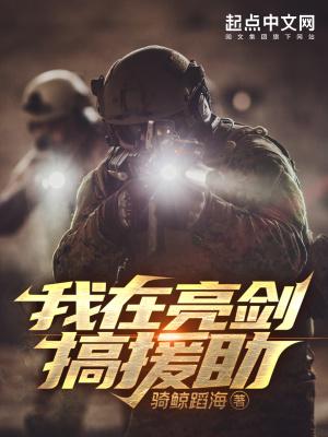 我在亮剑搞援助TXT免费